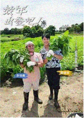 花儿与少年·丝路季